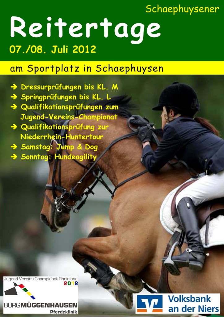 Plakat Sommerturnier 2012